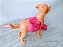 Cachorro da Barbie em treinamento, usado - Imagem 5