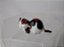 Miniatura Disney do gato Mr Twitches da Tinkerbell. 3 cm, usado - Imagem 1