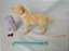 Labrador Tanner, pet da Barbie Forever de 2006, com pá cata caca - Imagem 5