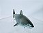 Miniatura de plástico tubarão com mandíbula móvel, promoção Nestlé, 7,5 cm comprimento - Imagem 2