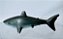 Miniatura de plástico tubarão com mandíbula móvel, promoção Nestlé, 7,5 cm comprimento - Imagem 4