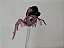 Pet bicho estimação Memphis aranha da Operetta Monster High - Imagem 1