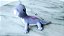 Bruni , salamandra do Frozen 2  col. McDonald's 50 anis Disney Parks. 4,5 x 9cm comprimento - Imagem 4
