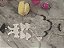 Lol surprise fluffy pets winter disco kitty 500 - Imagem 3