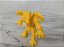 Miniatura anos 90 de monster in my pocket Tengu amarelo, usado - Imagem 2