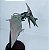 Dinossauro Pteranodon articulado Jurassic World, Hasbro 2015, 18 cm de envergadura - Imagem 3