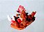 Pokémon de vinil estático Primal Groudon 2014, mede 4 cm de altura e 6 cm de largura - Imagem 4