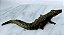 De 1972, crocodilo de vinil, mandíbula móvel da Britains , 18 cm comprimento - Imagem 5