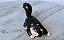 Miniatura Disney gato Lucifer da Cinderela, 6 cm - Imagem 2