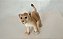 Miniatura de vinil Schleich de filhote de leão, 7 cm - Imagem 2
