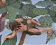 Anos 90, Miniatura Disney de Tarzan rastejando, 12 cm - Imagem 9