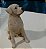 Estatueta de resina sem marca labrador bege 15 cm de altura - Imagem 6