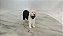 Miniatura de vinil Procon 2000 de cachorro sheep dog - Imagem 1