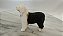 Miniatura de vinil Procon 2000 de cachorro sheep dog - Imagem 3