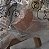Esquilo Scrat da Era do Gelo, Fox, col. Mcdonald's 2009, lacrado - Imagem 3