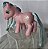 My Little Pony G3 Sweet Breeze, Hasbro 2006 - Imagem 6