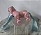 My Little Pony G3 Sweet Breeze, Hasbro 2006 - Imagem 7