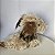 Pelúcia pequena cachorro Benji 16cm década de 90 - Imagem 6