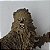 Boneco articulado no braço esquerdo de Chewbacca Star wars 22cm LFL Hasbro 2004 - Imagem 2