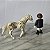 Playmobil, um cavalo branco com pintas marrom e um boneco cavaleiro - Imagem 5