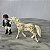 Playmobil, um cavalo branco com pintas marrom e um boneco cavaleiro - Imagem 3
