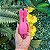 Vibrador Recarregável Orelhas de Coelhinho com 10 Modos de Vibração - Imagem 2