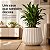 Vaso Cachepot 37cm Branco Antigo Vaso para Planta Com Prato - Imagem 2