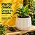 Vaso Cachepot Mor 25cm Branco Antigo Planta Prato Anti UV - Imagem 3