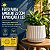 Vaso Cachepot Mor 25cm Branco Antigo Planta Prato Anti UV - Imagem 1