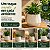 Vaso Cachepot Mor 25cm Branco Antigo Planta Prato Anti UV - Imagem 2