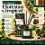Difusor Ambiente Com Varetas Perfume Floresta Tropical 100ml - Imagem 1