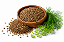 ENDRO - DILL - Imagem 1