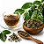 CHÁ DE CAFÉ EM FOLHAS (Coffea Arabica) - Imagem 1