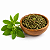 STÉVIA EM FOLHAS ADOÇANTE NATURAL (Stevia Rebaudiana Bertoni) - Imagem 1
