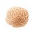 PSYLLIUM HUSK 90% PREMIUM - Imagem 1