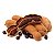 EXTRATO DE TAMARINDO EM PÓ SOLÚVEL (Tamarindus Indica) - Imagem 2