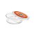 Latinha Lembrancinha Festa Pop It - 8cm - 20 unidades - Transparente - Rizzo Embalagens - Imagem 1