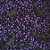 Sprinkles Morcegos e Bolinhas Pretas e Roxa Halloween - 60g - Morello 01 Unidade - Rizzo - Imagem 1