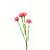 Flor Permanente 61 cm - 1 unidade - Rizzo Embalagens - Imagem 1