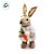 Coelha com Casaco de Pelúcia 23,5 cm Segurando a Cenoura - 1 unidade - Cromus - Rizzo - Imagem 2