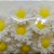 Confeito de Açúcar p/ Acabamento - Flor Girassol Branco/Amarelo - Tamanho M - 1 unidade - 10 Peças - RizzoEncantos de Aç - Imagem 2