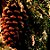 Guirlanda Decorativa Folhas e Pinhas - Verde/Marrom - 60 cm - 01 unidade - Cromus - Rizzo - Imagem 3