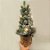 Mini Árvore de Natal - Pinheiro Nevado c/ LED - 48 cm - 01 unidade - Cromus Natal - Rizzo - Imagem 3