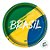 Prato de Papel Redondo - Brasil Copa do Mundo - 18,5cm - 8 unidades - Festcolor - Imagem 2