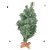 Mini Pinheiro de Natal - "Mini Árvore" - Cromus Natal  - 1 unidade - Rizzo Embalagens - Imagem 1