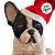 Cachorro Bulldog - Decoração de Natal - sem Movimento - Branco/Preto - 1 unidade - Cromus - Rizzo - Imagem 4