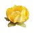 Forminha para Doces Finos - Tulipa - Tons Pin Art - Amarelo - 25 unidades - Maxiformas - Rizzo - Imagem 1
