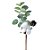 Pick Galho Eucalipto Verde e Branco - 30cm  - 1 unidade - Cromus - Rizzo - Imagem 1