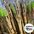 Tocha de Bambu - 1 unidade - Rizzo - Imagem 3