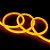 Mangueira Led Neon - Amarelo - 220V - 5m - 1 unidade - Rizzo - Imagem 1